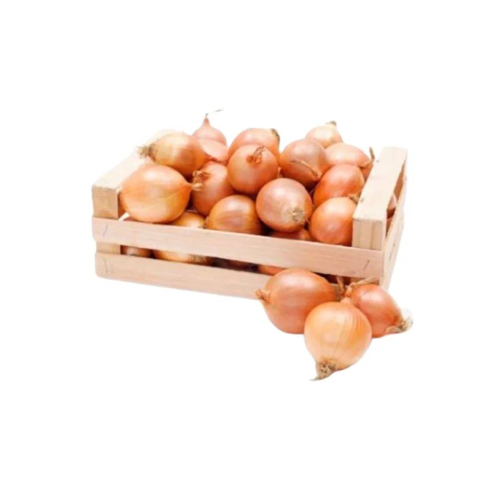 99% Purity for Onion Texas Grano  for Fresh Vegetables verity Red Creole