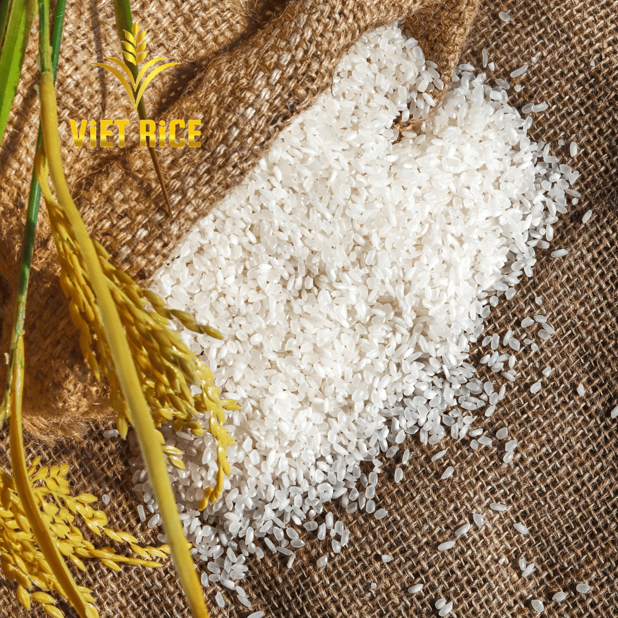 Best mixed rice Calrose (50% Camolino - 50% Japonica) with premium quality, large volume and supplied from the leading company