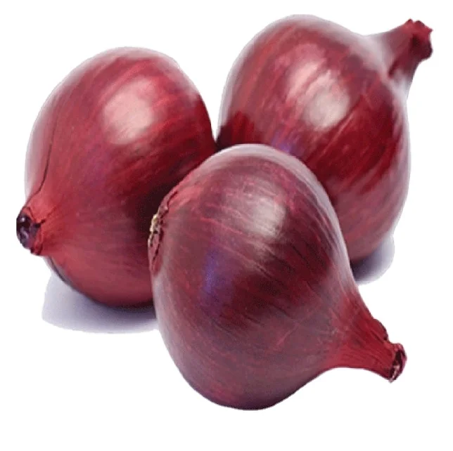 Best Selling And High Quality Wonderful Delicious Fresh Vegetable Red Onion at Wholesale Prices for Worldwide Export From India