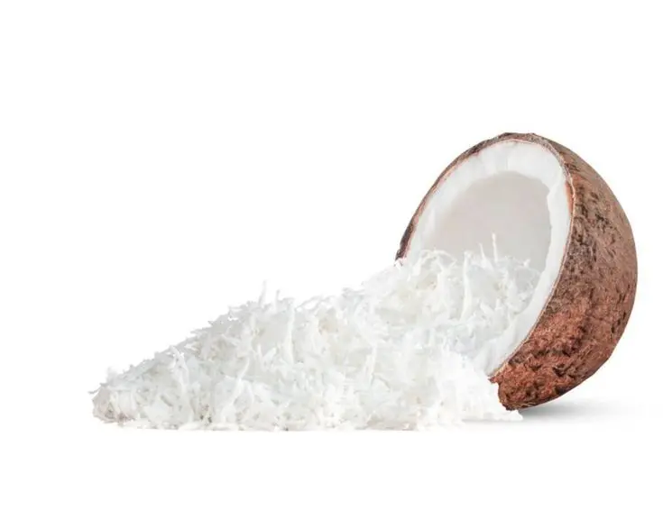 DESICCATED COCONUT FROM VIETNAM WHOLESALE BULK WITH HIGH QUALITY