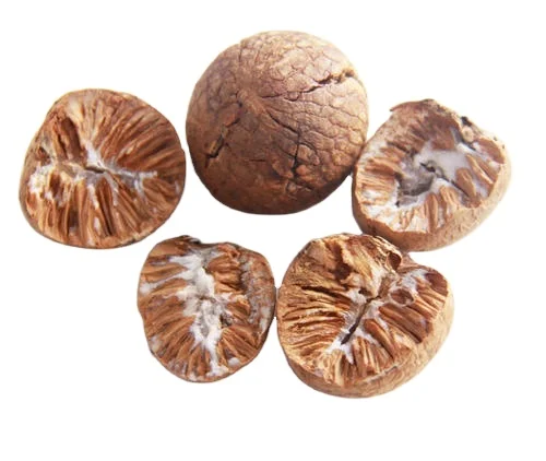 [HOT] BETEL NUT/EXPORT WHOLESALE/FROM VIETNAM/THE BEST PRICE