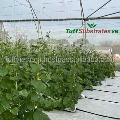 Best sale coir Cocopeat Growbag 28L  Best Quality Brand Manufacturer Cheap Price Wholesale Low MOQ Coconut Coir For Agriculture