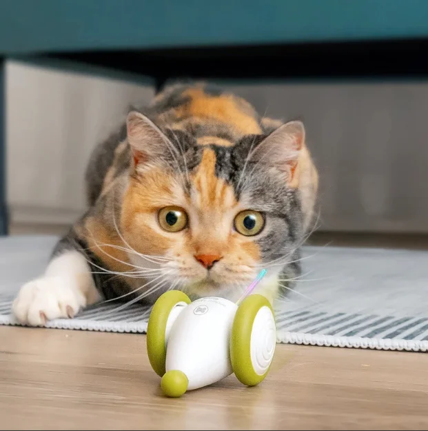 Игрушки для кошек