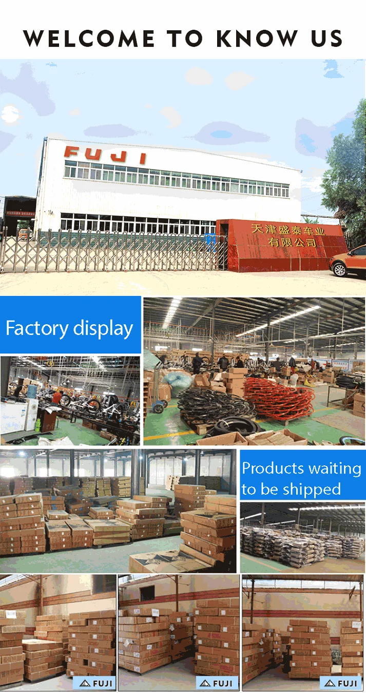ODM OEM Service 650W 48V 60V 20AH Lead Acid Battery Electric Scooter Delivery Bike for Fast Food Cargo