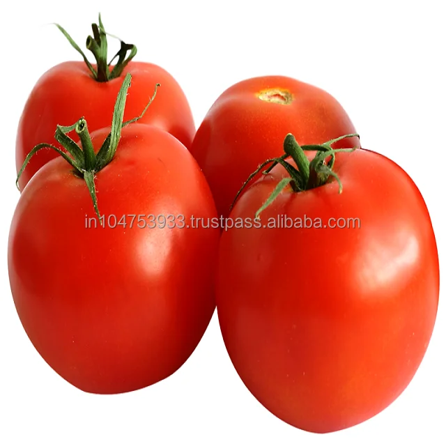 Tomato -Taste the depth of deliciousness.
