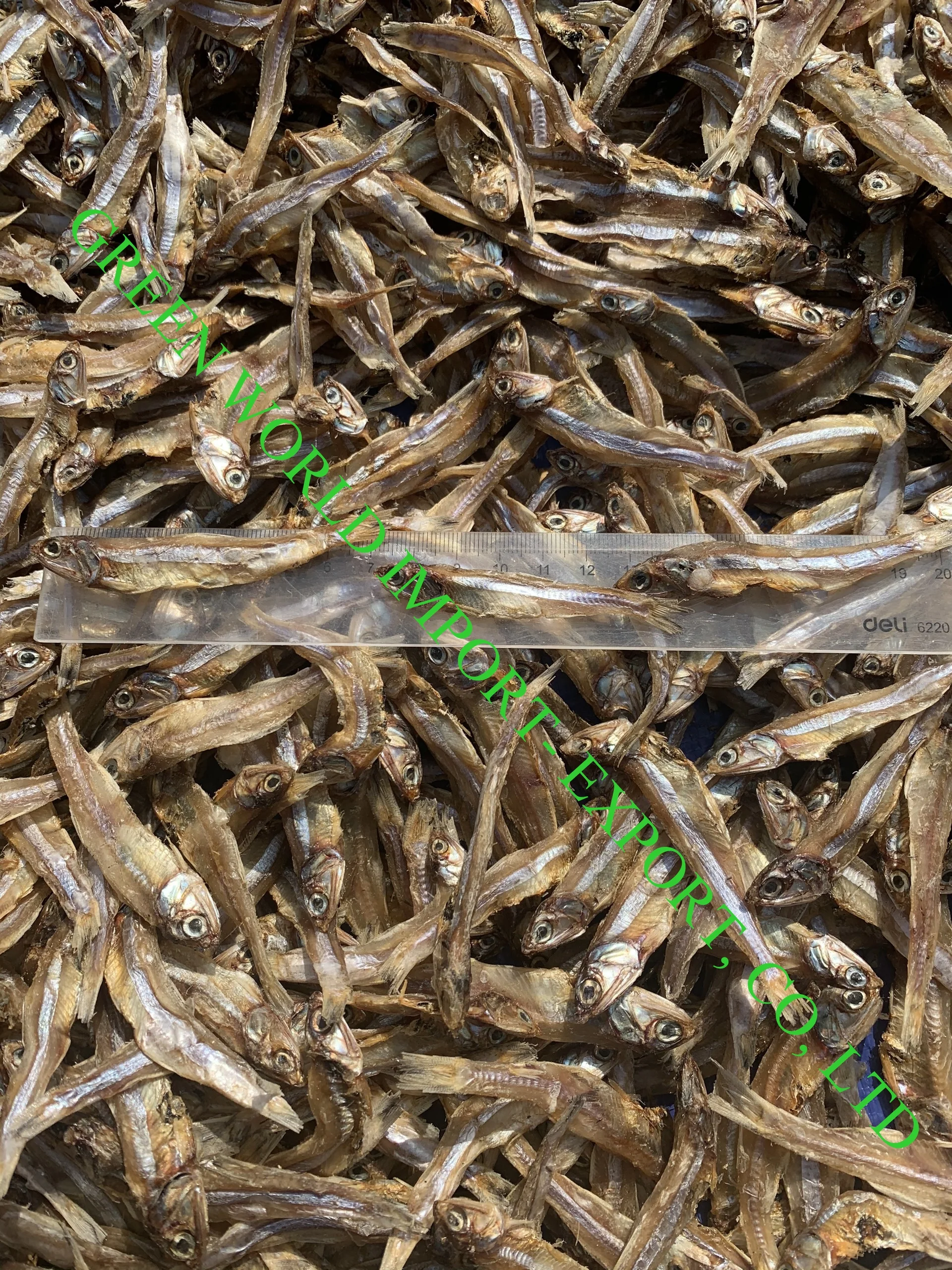 THE BEST OFFER FOR DRIED ANCHOVY WITH HIGH QUALITY - 100% DRIED BY SUN - HOT DEAL IN THIS SEASON