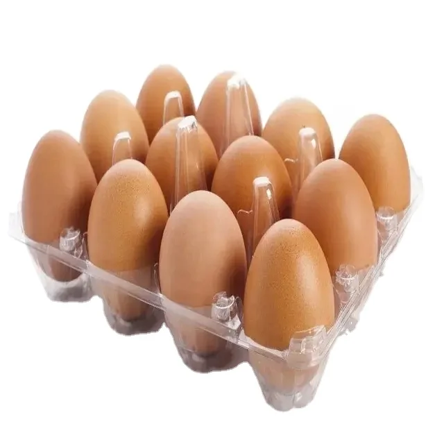 Fresh Table Eggs For Sale Fresh Brown Table Chicken Eggs in Bulk .