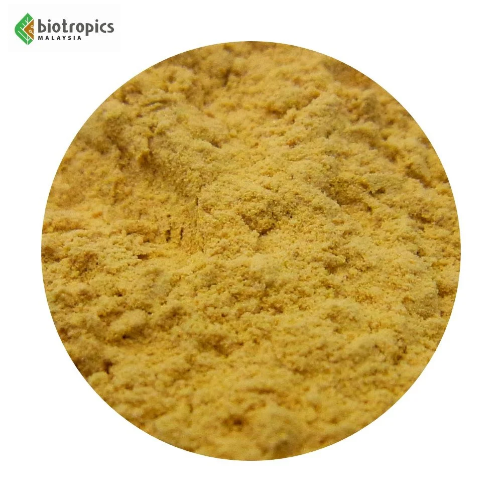 Authentic Malaysia Tongkat Ali (Eurycoma longifolia) Herbal Extract Root Powder Wild-Cultivated Ingredient Coffee Energy Drinks