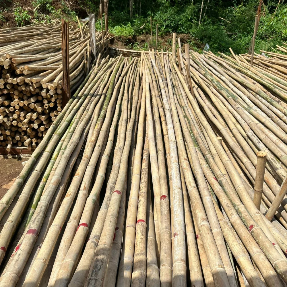 The leading product in Vietnam selling bamboo poles in bulk for decoration and construction, agriculture. most popular products