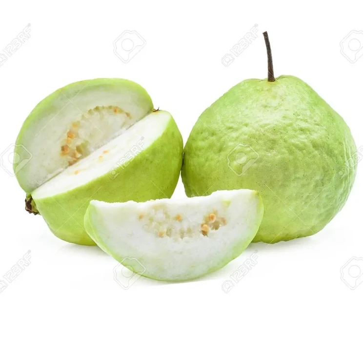 High quality and Best price Fresh Guava tropical fruit from Vietnam for wholesaler and for importer