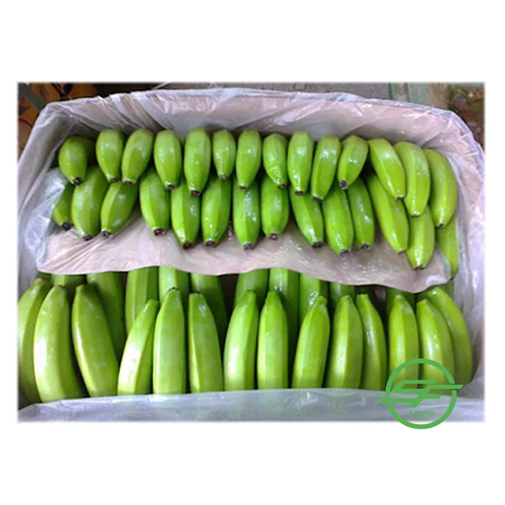 Упаковочные коробки новая цена 2021 свежий банан Cavendish из Вьетнама