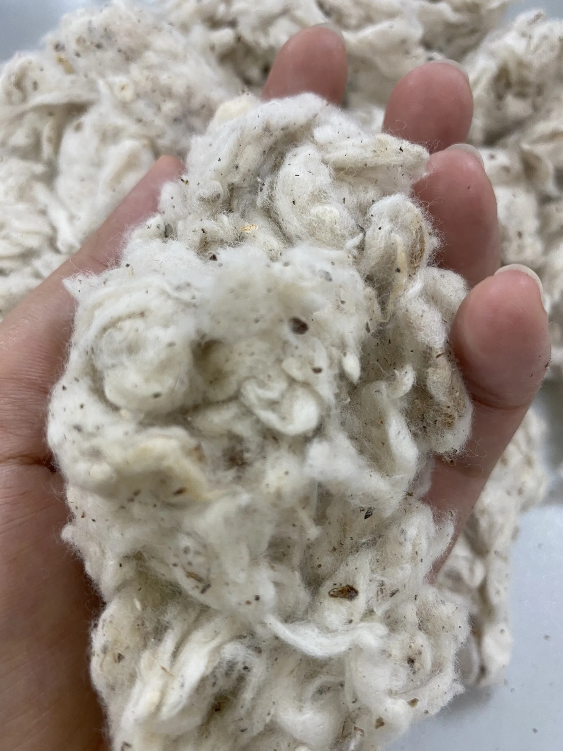 Lickerin A and B Grade/Card Fly/Flat strip Cotton Waste With Negotiable Price From Vietnam ( Ms. Xavia +84333371330 )