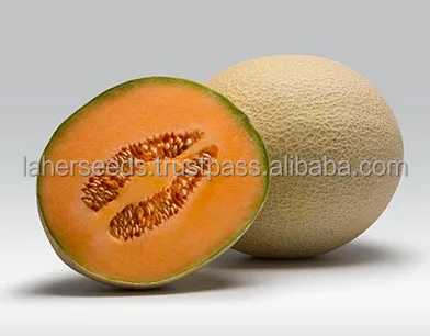 
2021 NEW HYBRID MUSK MELON ROCK MELON SEEDS HIGH QUALITY 