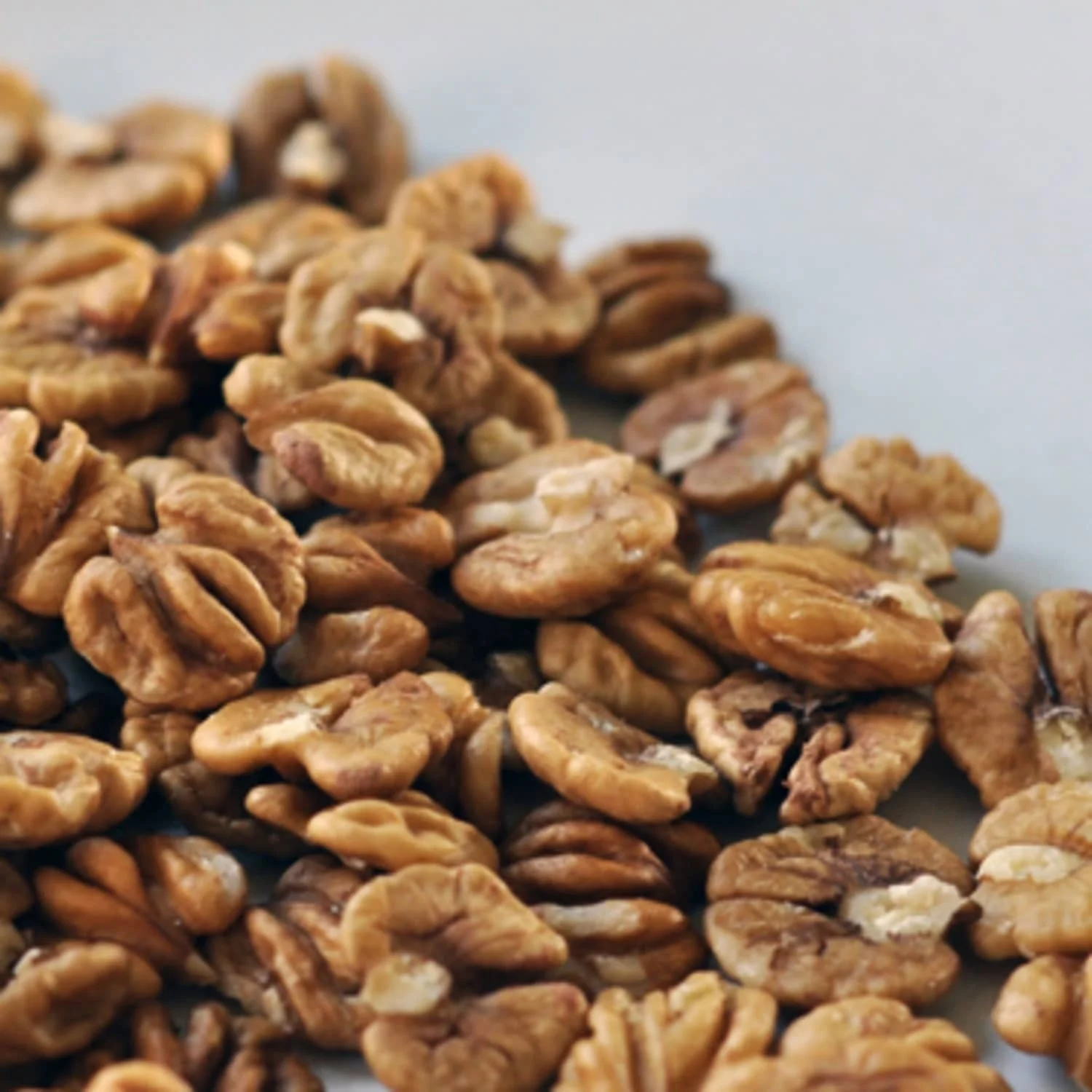 Roasted and Salted Hickory nuts