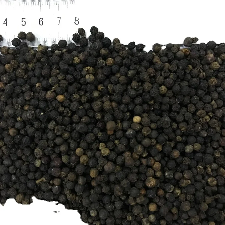 Vietnam Export Quality Organic And Raw Processing Clean Black Pepper 500 GL From HUYNHGIA Manufacturer
