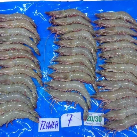 FRESH FROZEN HEAD ON SHELL ON FLOWER SHRIMP HOSO SHRIMP SEAFOOD PRODUCT AT HIGHEST MINIMUM ORDER QUANTITY