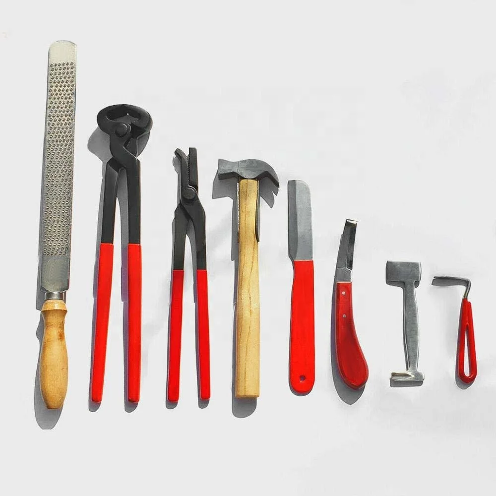 Farrier Tools | Farrier Tools Kit | Horse Farrier Tool Veterinary Stainless Steel Instruments Set Made By Bravo Impex