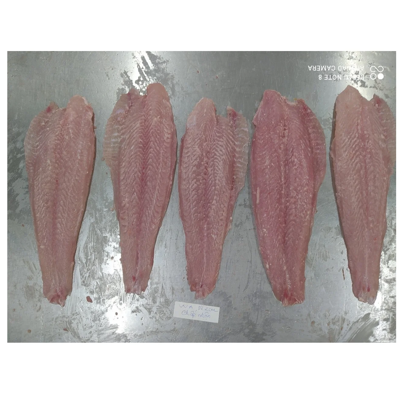 Best Seafood Pangasius/ Basa fish fillet, Untreated VietNam Product