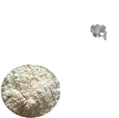 Pure White Kidney Bean Extract  kidney bean rajma  surkh red lobia Phaseolus vulgaris Phaseolus vulgaris L.