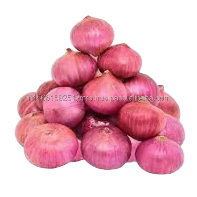 Frozen Vegetables And Fruits Hot Season Good Quality Frozen Onion For Sale