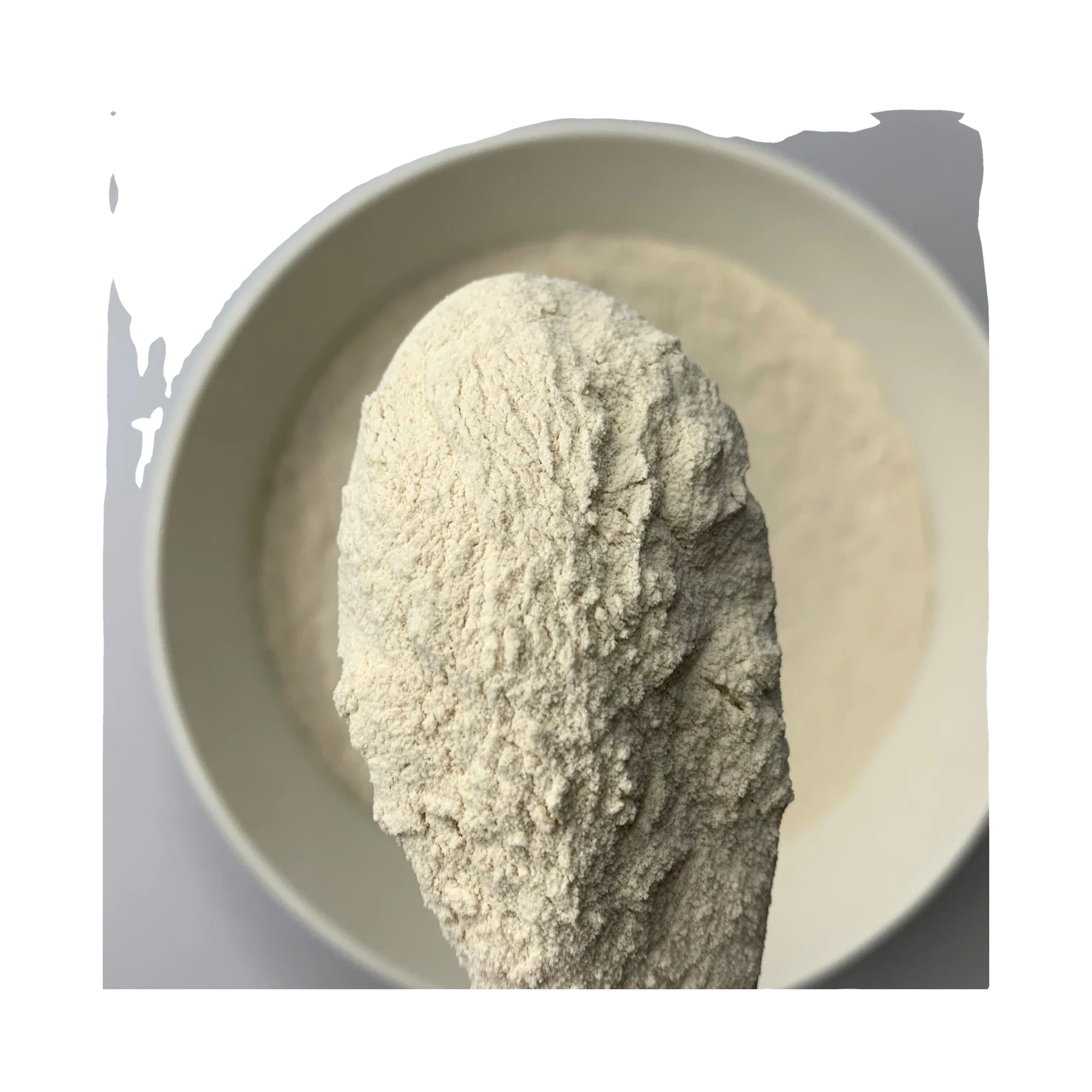Organic Isabgol Psyllium Husk Powder 99% Extract Wholesale Bulk Quantity Slimming Agent Retail Best Price