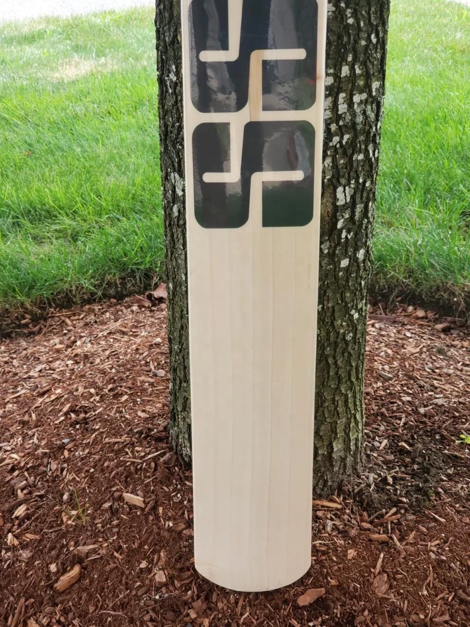 Английская ивовая Ранг 1 крикет летучие мыши круглой формы