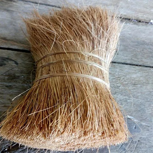 Bristle Fiber good quality for Sale   - Broom Industries - SITCO