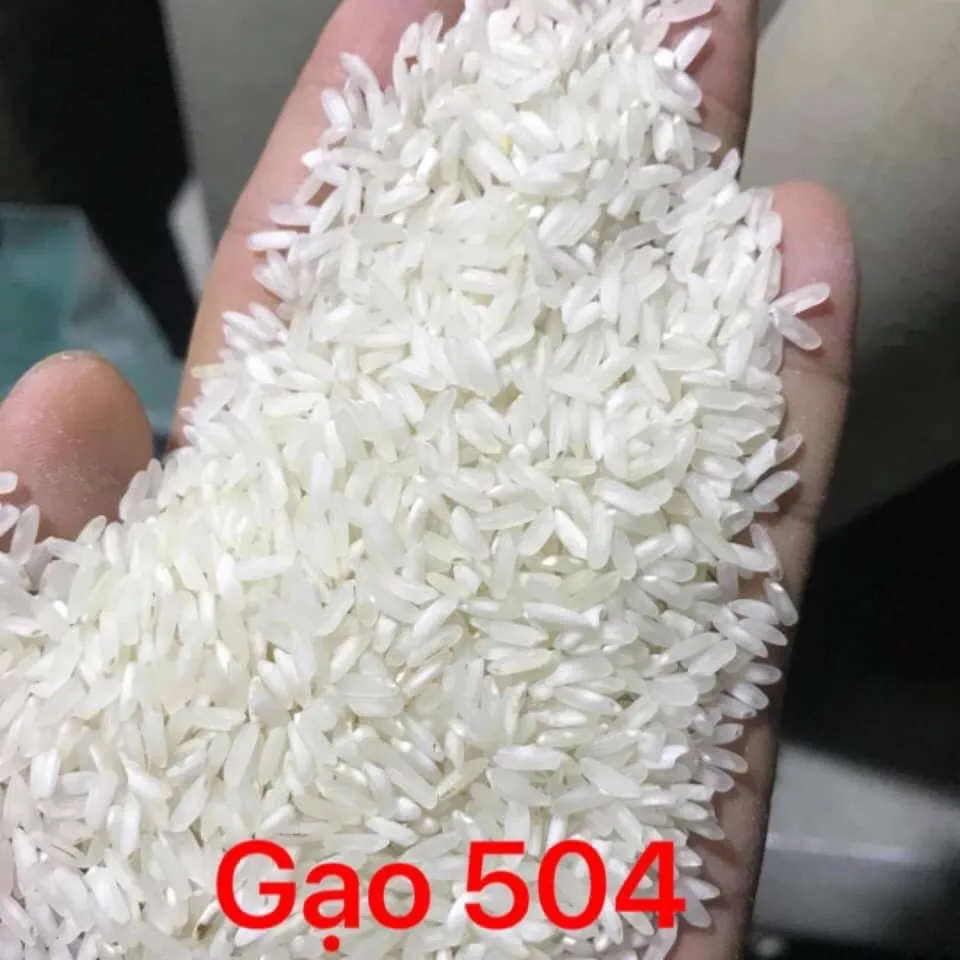 Vietnam Rice Long grain white rice IR50404 Crop Style Time Packing Kind Color Cooking Sugar Shelf Water Origin Type Hard