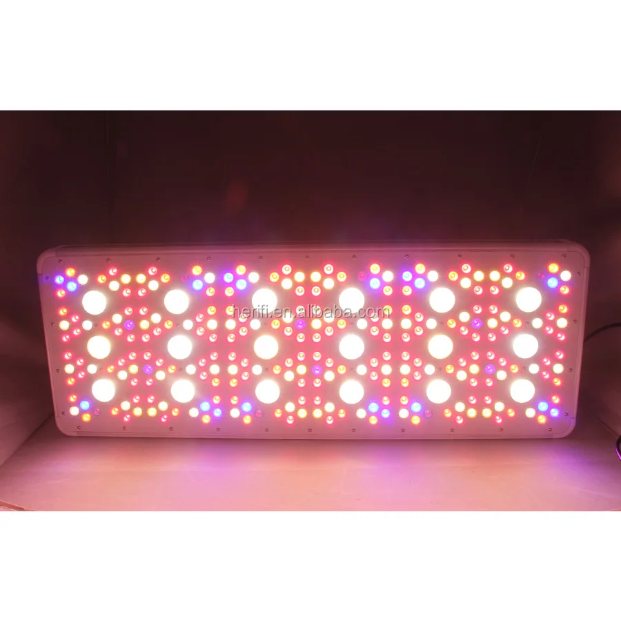 900W Led Grow Light Aluminum For Vertical Farm Veg Bloom COB Full Spectrum Grow Light