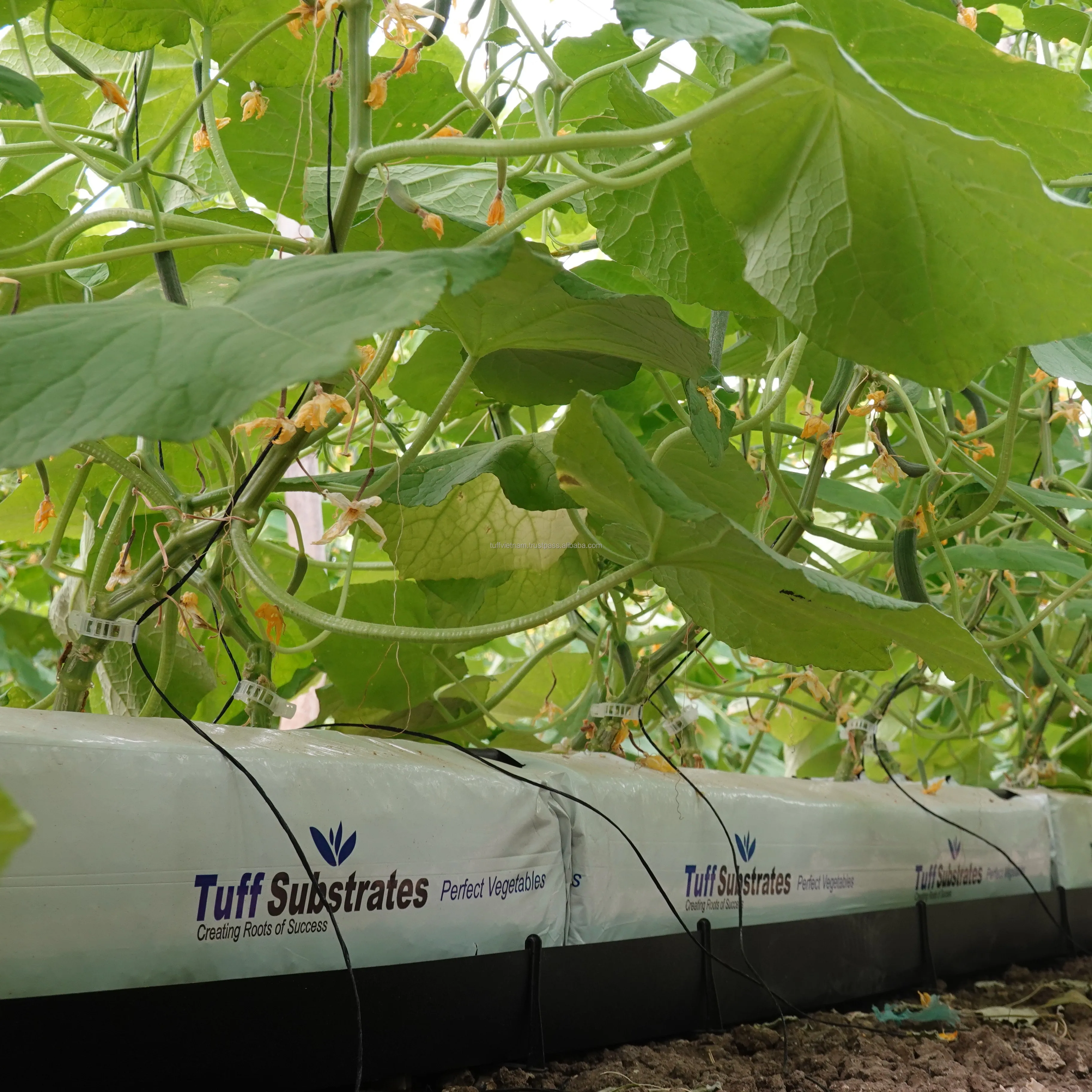 Cocopeat Growbag 28L Coconut Fiber / Peat Moss For Sale Grow Bags For Planting Tree Low EC