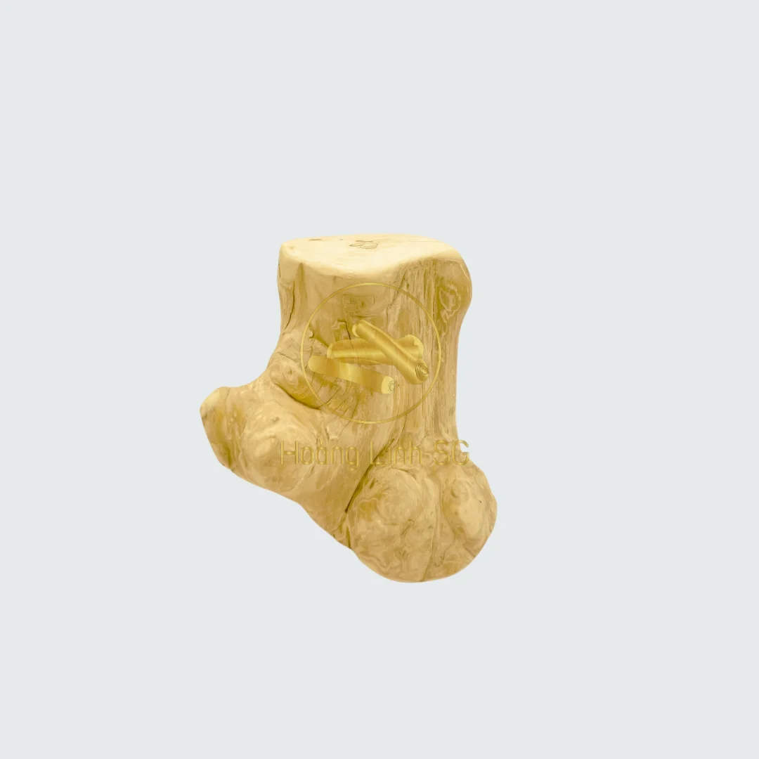 100% Natural Root Coffee Wood Chew- The Best clean teeth for Dog chews vigorously +84 797 415 298 Sara