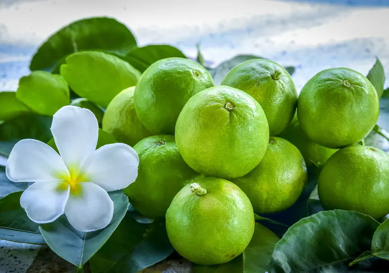 Лайм без семян свежий лайм зеленый цитрус оптовая продажа цитрусовые оптом оригинальный вьетнамский Лайм/Джонатан + 84766909341