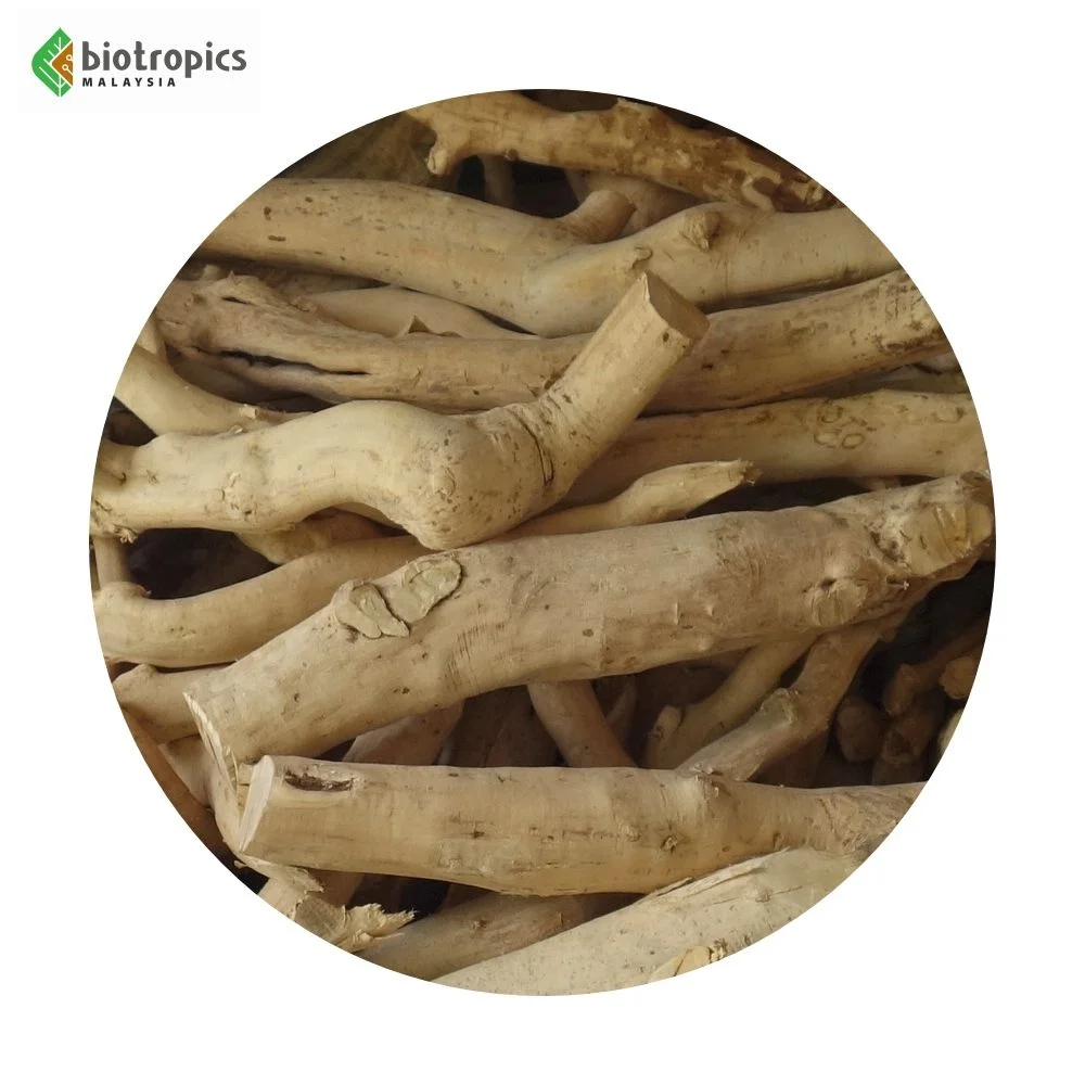 New High Quality Malaysia Plant Extract Tongkat Ali PG5 100% Roots for Energy, Muscle Building, Stamina