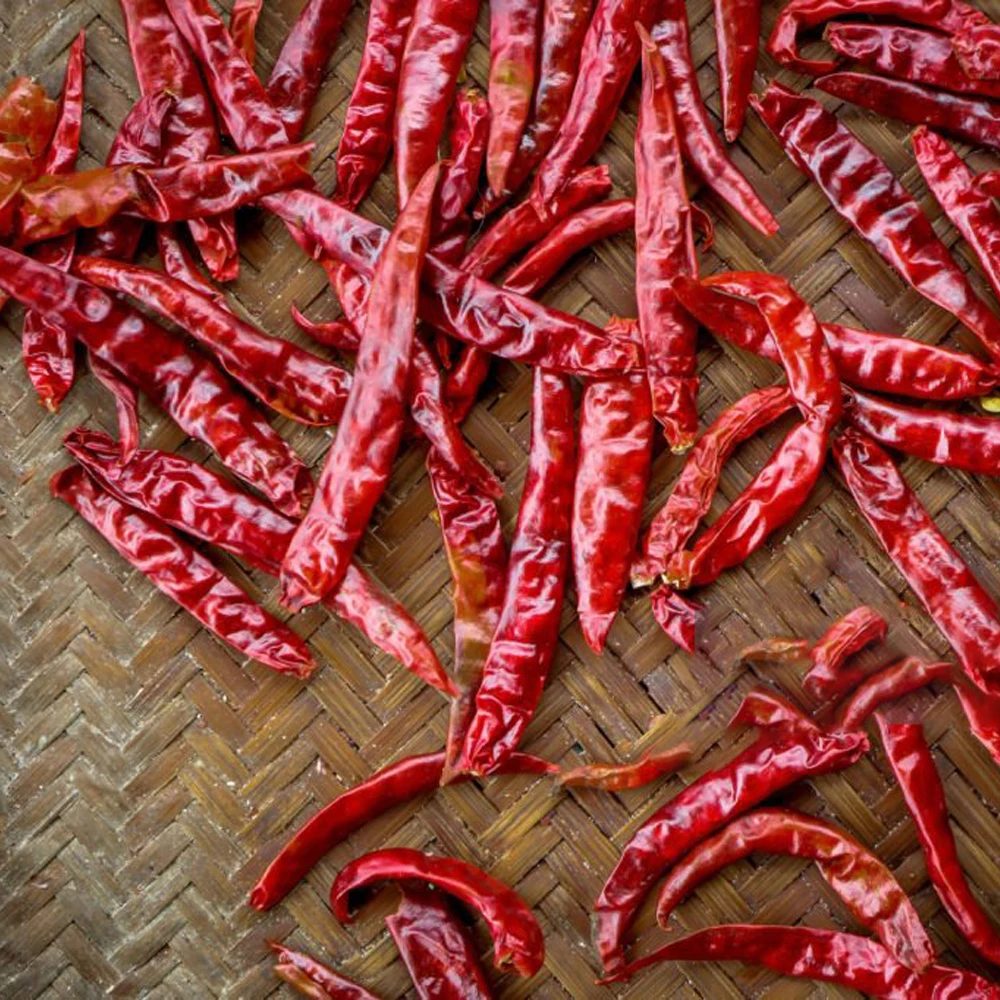 Sannam Organic and Natural Sannam dried red chilli without stem Flavor fairy and seasoning sensation chilli from India