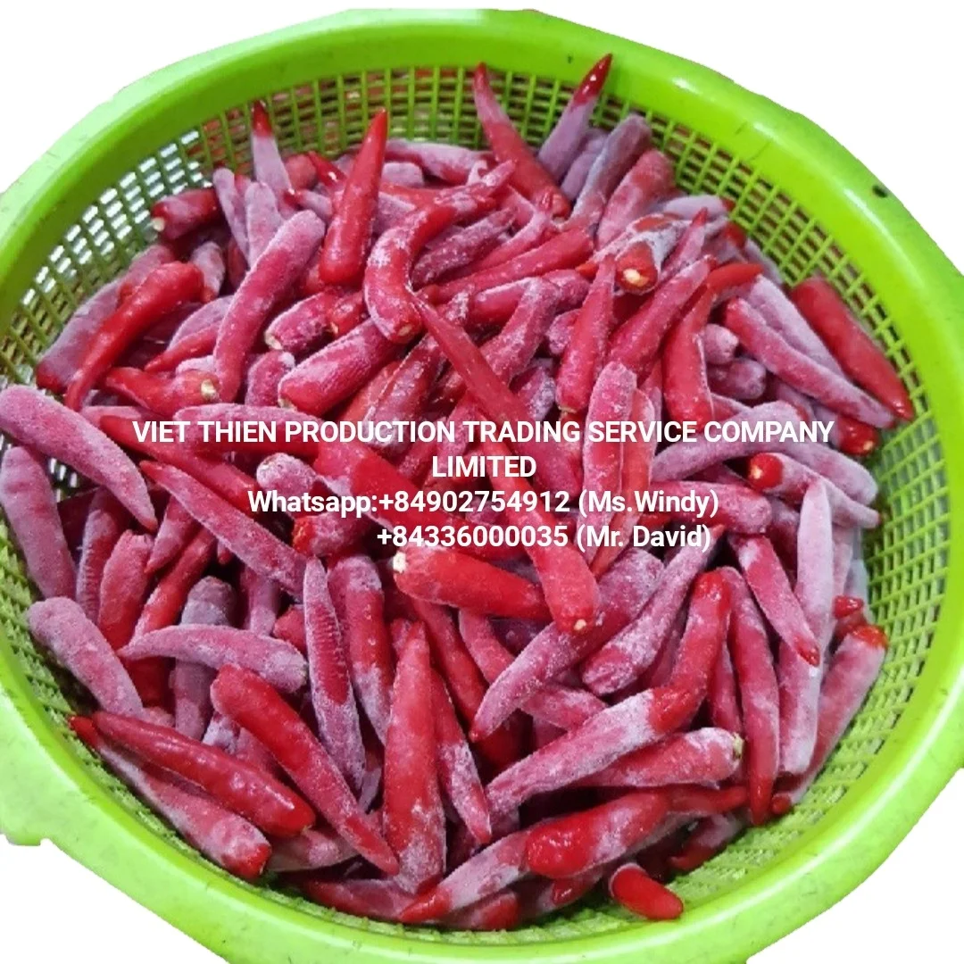 RED CHILI WHOLE FROZEN USED AS SPICES AND AS SAUCE IN GIA LAI VIETNAM AND MEET STANDARD EXPORT AND HIGH QUALITY AND GOOD PRICE
