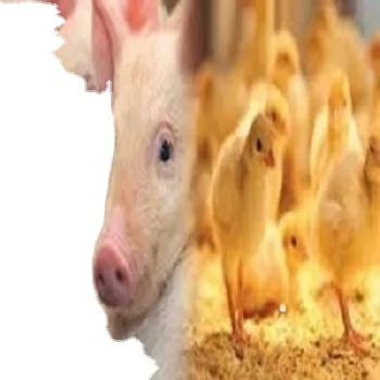 NEUTRAL PROTEASE Enzyme