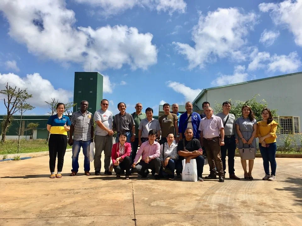 Vietnam Factory Wholesale Spray Dried Instant coffee 3 in 1 powder mix