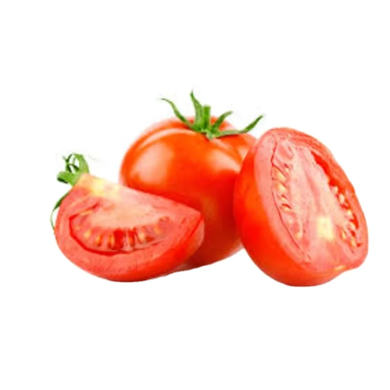 Хорошее качество OP Verity of Tomato Moneymaker по