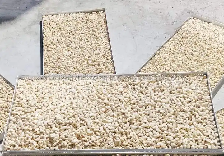 EXCELLENT Organic Directly from the factory of high quality Fresh cashew nuts from Vietnam, peeled