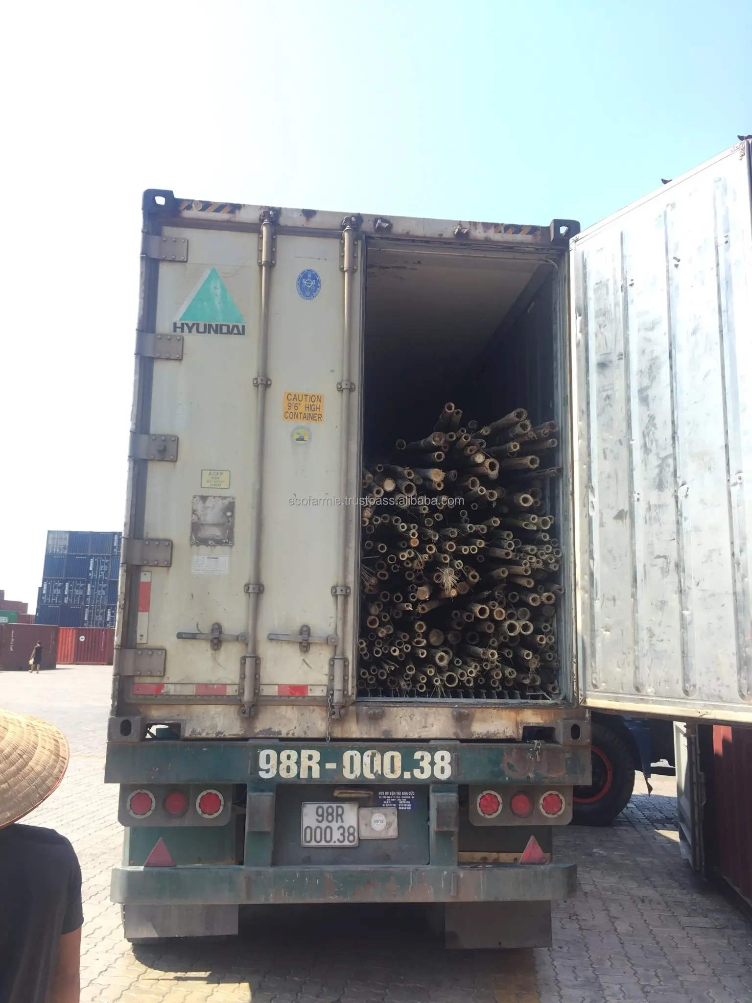 Вьетнам Низкая цена Высокое качество Толстые бамбуковые трости Moso бамбуковые палочки Tonkin бамбуковые палочки