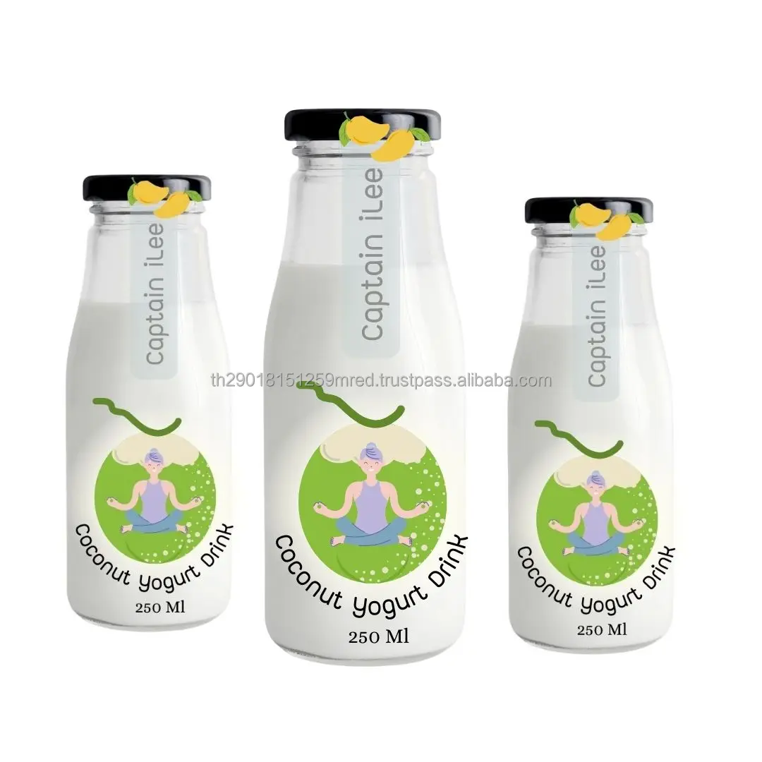 New Arrivals Coconut  with Mango Yogurt  Drink Fermented from Plant-Based Sterilized Products Vegan Type and Flavored Processing