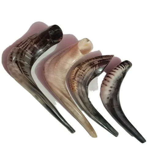 100% Natural Sheep Ram Horn Polished Shofar