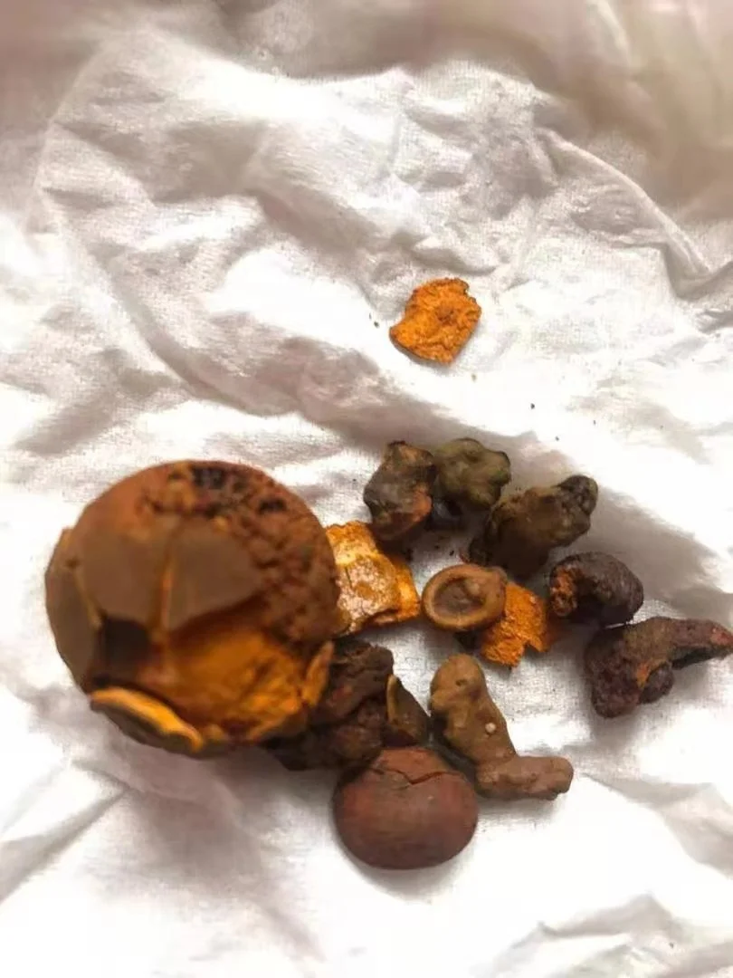 GALLSTONES OX , HIGH QUALITY & DRY OX GALLSTONES FROM PAKISTAN