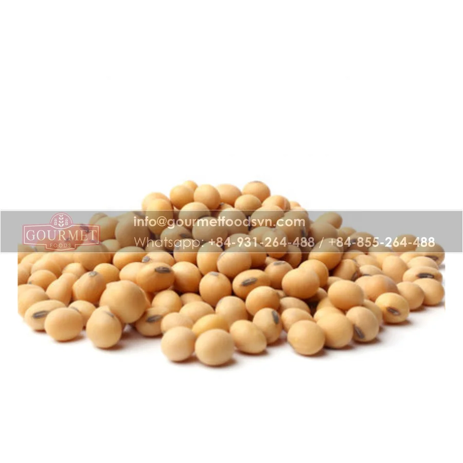 Соевая фасоль из Вьетнама имеет в диете достаточное количество белка обеспечивая эффективную метаболическую активность