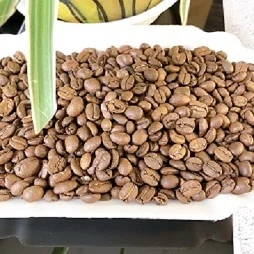 Arabica coffee beans with light roast, medium roast and dark roast, high quality made in Vietnam with low MQQ and good price