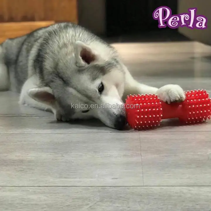 pet Squeak toy interactive vinyl dumbbell dog chew toys home play fun big dog