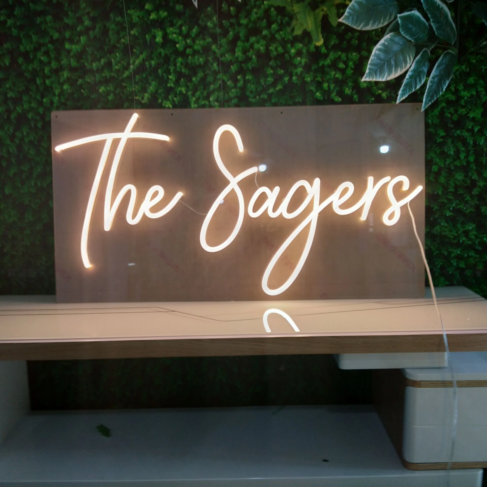 Winbo Wall Art Sign Bedroom Decoration Rainbow Hanging Fashion Custom Neon Animal Lights Night Lamp Led Neon Light For Home