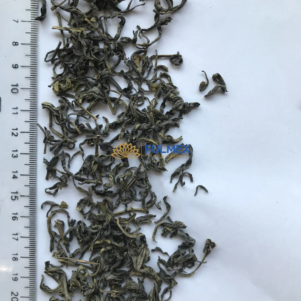 Green tea Thai Nguyen premium traditional Vietnamese tea packing small vacuum aluminum bag origin Vietnam