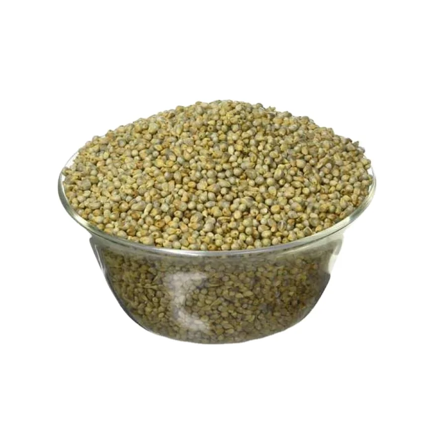 Green millet for animal feed in High quality ready for export from India