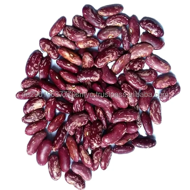 Polished Organic Non-GMO Dark Red Kidney Beans rice and beans red kidney bean
